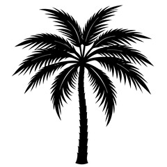 palm tree silhouette