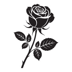 Obraz premium Black and white rose design stylish monochrome flower art