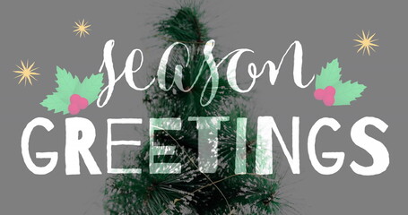 Featuring snow-dusted evergreen branch with holly and starbursts around season GREETINGS on grey