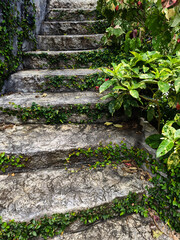 Stone staircase in a beautifully designed garden by an array of vibrant plants and colorful flowers