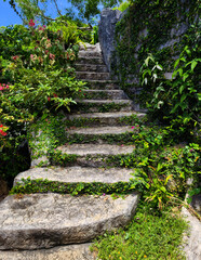 Stone staircase in a beautifully designed garden by an array of vibrant plants and colorful flowers