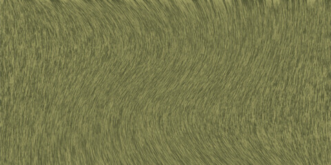 texture of the grass