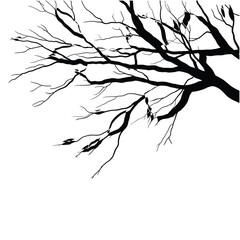 Obraz premium Bare tree branches representing the end of autumn in black and white vector