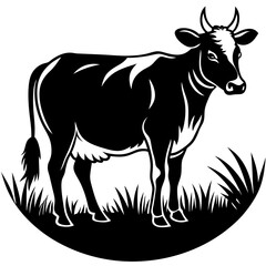 Fototapeta premium Black and white cow stands in grass isolated on white background