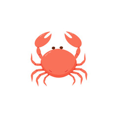 Orange crab with large claws a white background