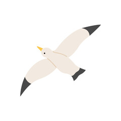 Flying gull. Seabird icon illustration on white background