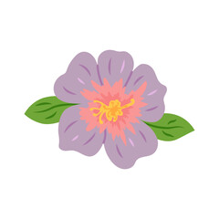 Illustration of purple flower in simple style on white background