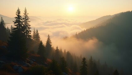 Misty pine forest in mountain valley glowing in soft golden sunrise light