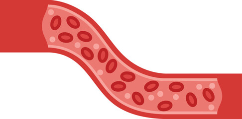 Blood vessel illustration showing red blood cells flowing inside artery with red and pink colors for medical education and health awareness 