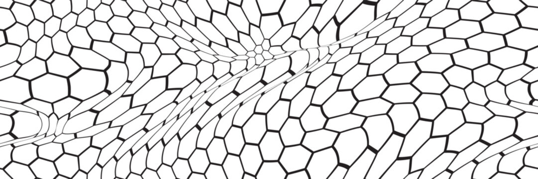 Graphene carbon atoms are organized in a honeycomb pattern to generate a seamless three-dimensional undulating structure. Flexible, ultra-thin material having conductive properties. Network geometry