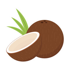 Coconut  logo design. Coconut vector. Coconut on white background.