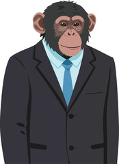 Chimpanzee wearing business suit and blue tie standing with calm expression isolated on white background 