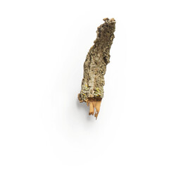 A close-up view of a textured piece of wood, highlighting its natural patterns and organic form.