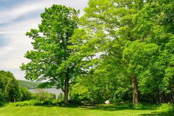 after noon at hanks meadows