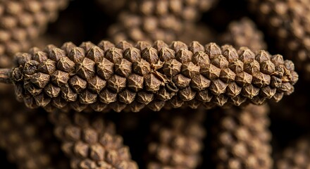 Macro Photography of Dried Piper Nigrum Flower Spikes