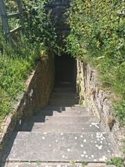 Descending steps
