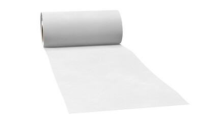 A roll of blank paper unrolled, suitable for drawing or writing.