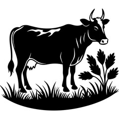 Fototapeta premium Black and white cow standing in grass illustration isolated on white