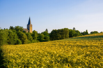 the catholic church of Ratingen Homberg at summer	evenig sun with blue sky and rye field and country lane
