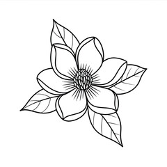 Elegant Magnolia Flower Line Art Illustration for Coloring Books and Design Projects