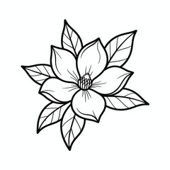 Obraz premium Elegant Magnolia Flower Outline Illustration with Detailed Leaves and Petals