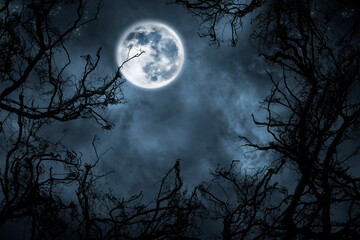 Halloween horror background blank template with empty copy space. Tree branches, dark sky, full moon