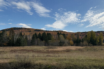 Autumn landscape with yellowed trees and blue sky with white clouds. Quebec, Canada.