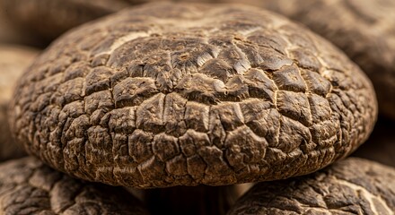Close-up of Dried Shiitake Mushrooms:  A Textured Culinary Delight