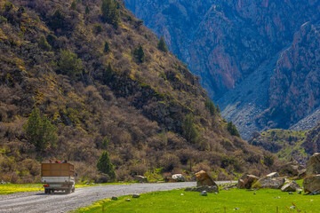 Truck transporting horses in mountainous region of Kyrgyzstan during daytime