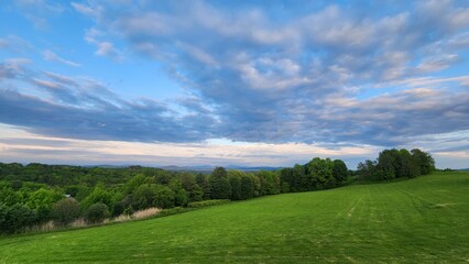 Wildflower field in Vermont
