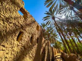 Old houses in the historic town of Al Ula, surrounded by date palms.