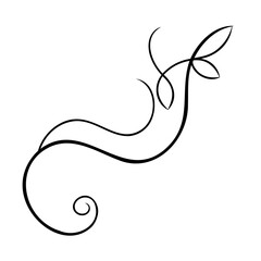Black Swirling Vine Design Element with Leaves white