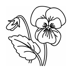 Black Line Art Pansy Flower with Bud and Leaf vector
