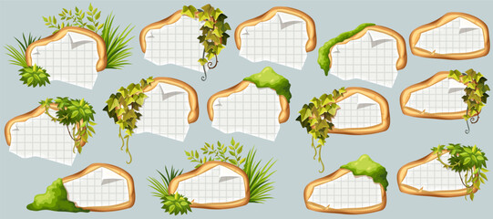 Wooden signboards with old paper, stems ivy, liana, grapes, vine, swamp moss, forest lichen. Set isolated wooden elements with blank, with ragged square graph paper, school math sheet. 