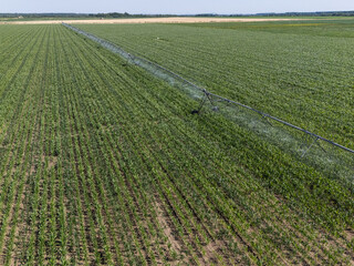 Aerial view of agricultural watering pivot irrigation system on a corn field