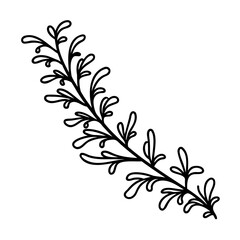 Black Line Art Sprig of Leaves Botanical Illustration