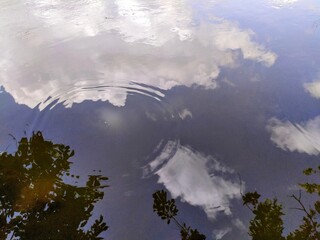 the reflection of clouds and trees on a body of water, featuring visible ripples on the surface