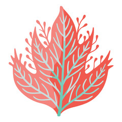 coral-leaf-isolated-on-white-background