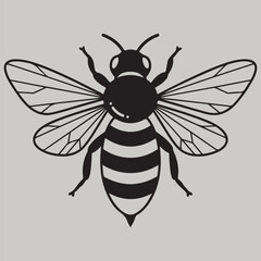 Vector Illustration Design Template with Helvetica and Courier Fonts