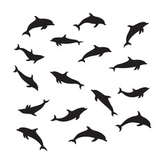 Many dolphin silhouettes isolated on white background in different positions