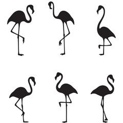 Fototapeta premium Flamingo silhouettes in various poses isolated on white background