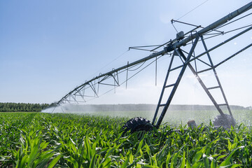 Agricultural pivot irrigation system on a corn field