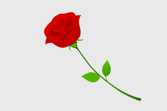 single red rose on white silk sheet