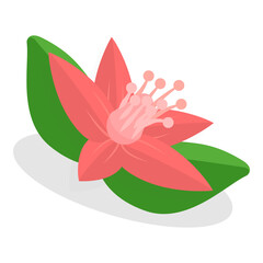 3D Isometric Flat  Set of Jeju. Item 4