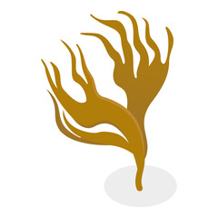 3D Isometric Flat  Set of Seaweeds. Item 3