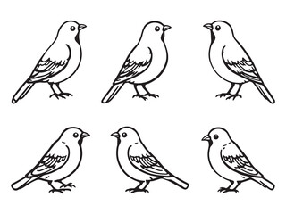 Minimal Canary Outline Vector Art