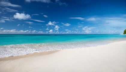 Obraz premium beach with white sand and sea