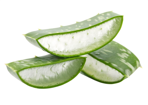aloe-vera-slice isolated on white background png, ai generated