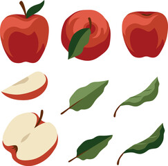 Vector hand-drawn fruit (red apple) illustrations: apple with leaf, half apple, sliced and green leaves. All the elements are isolated, you could move it and change the size