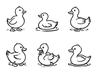 Duck outline drawing